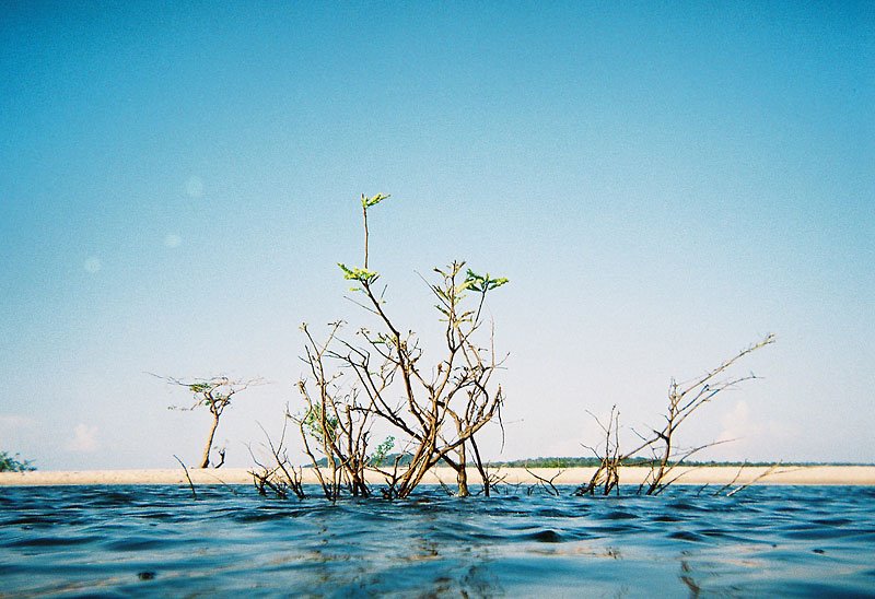 Santarém - State of Pará, Brazil by Fernando Stankuns