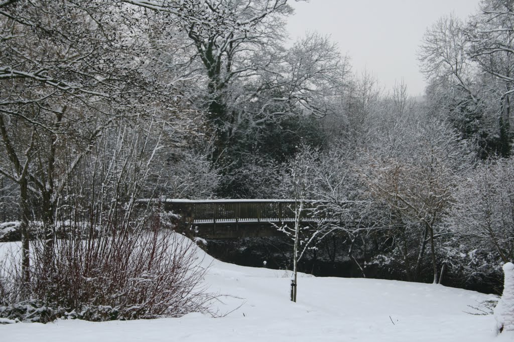 Bridge Snow by Vikram G Aarella