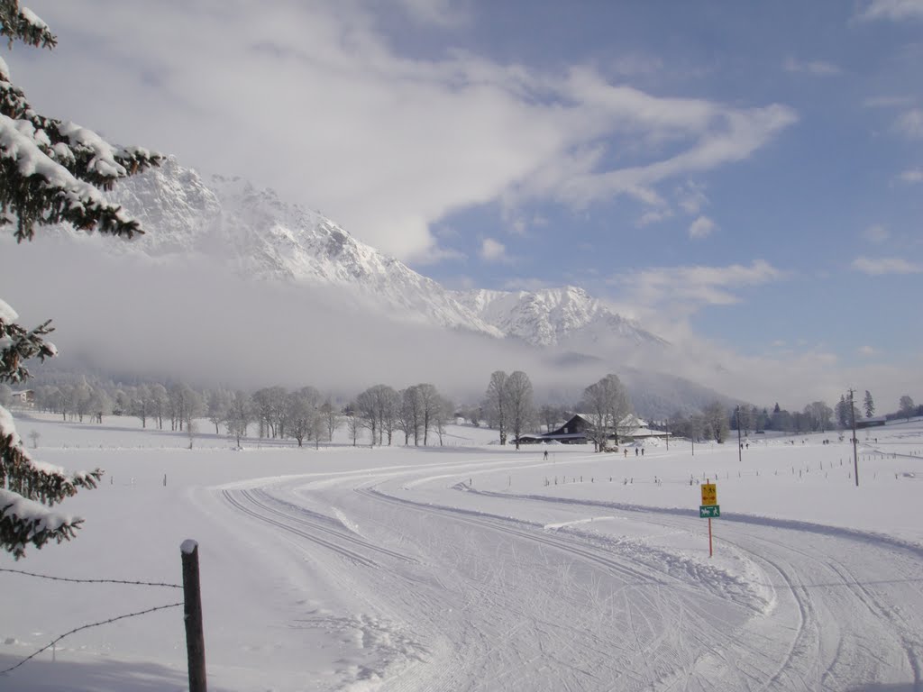 Journée de ski de fond ensoleillée by Gadro-voyageur