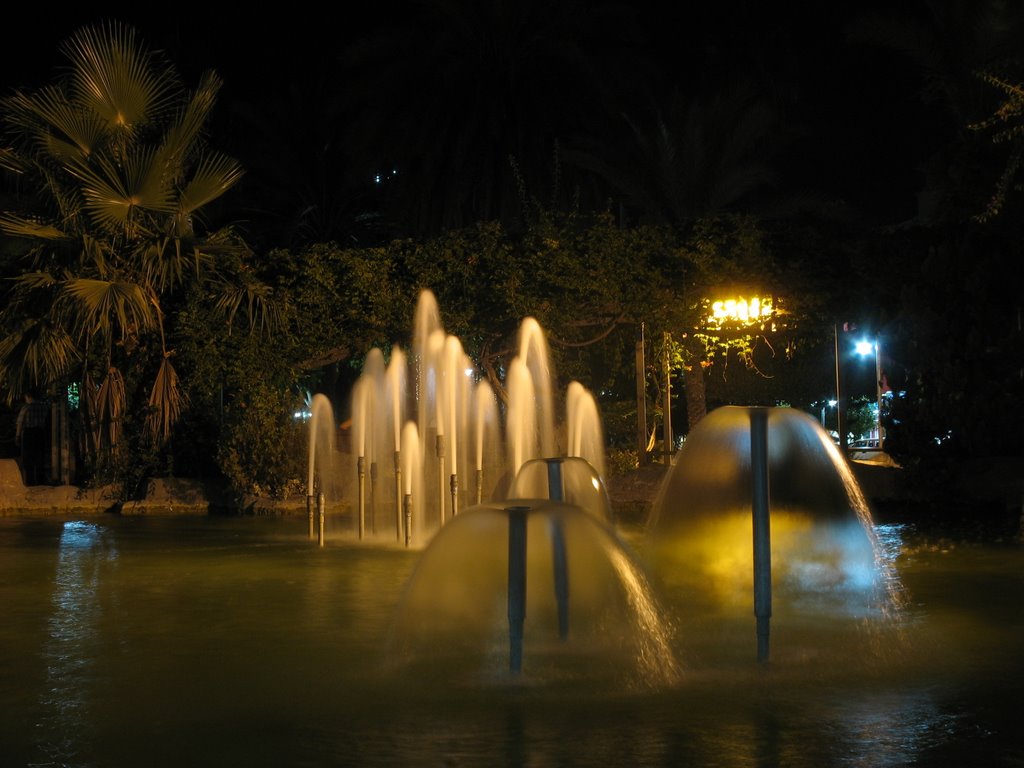 Turkey. Alanya. Night. by Дмитрий Петраш