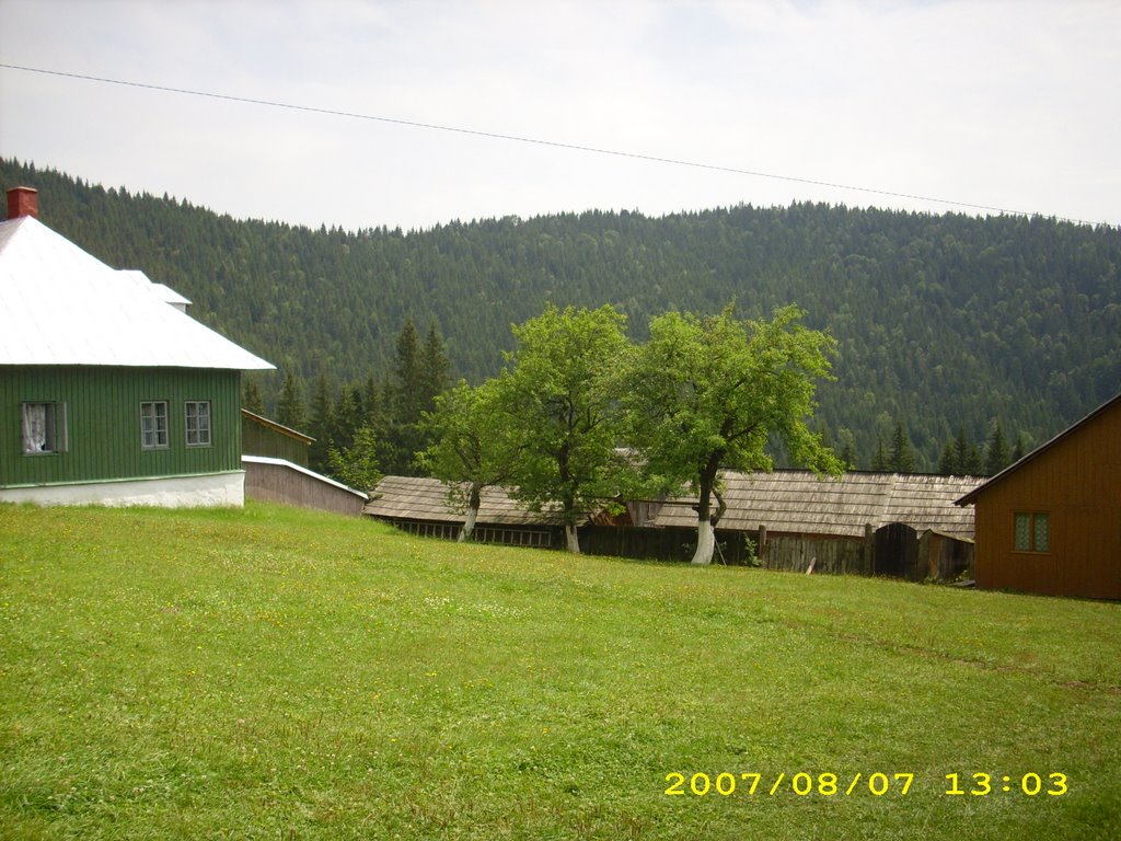 In curtea Manastirii by Popescu Gabriel