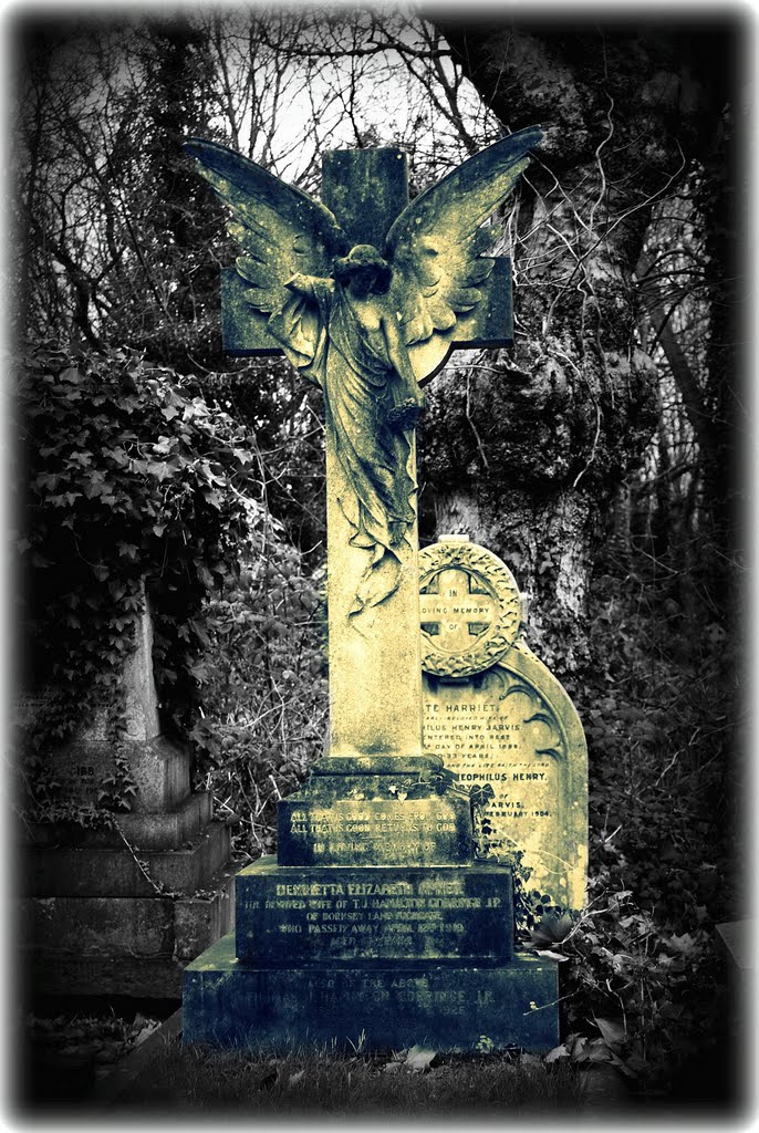 London : Highgate Cemetery by cisko66