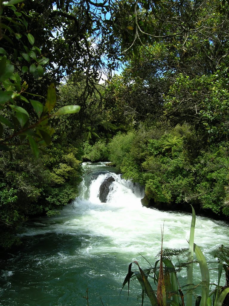 Okere Falls - down stream by Tomas K☼h☼ut