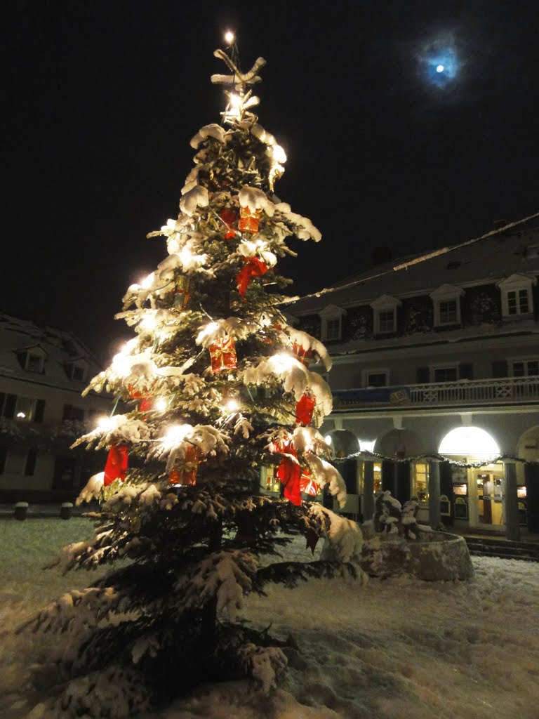 Weihnachten in Mannheim-Gartenstadt, Freyaplatz by SilkeMa