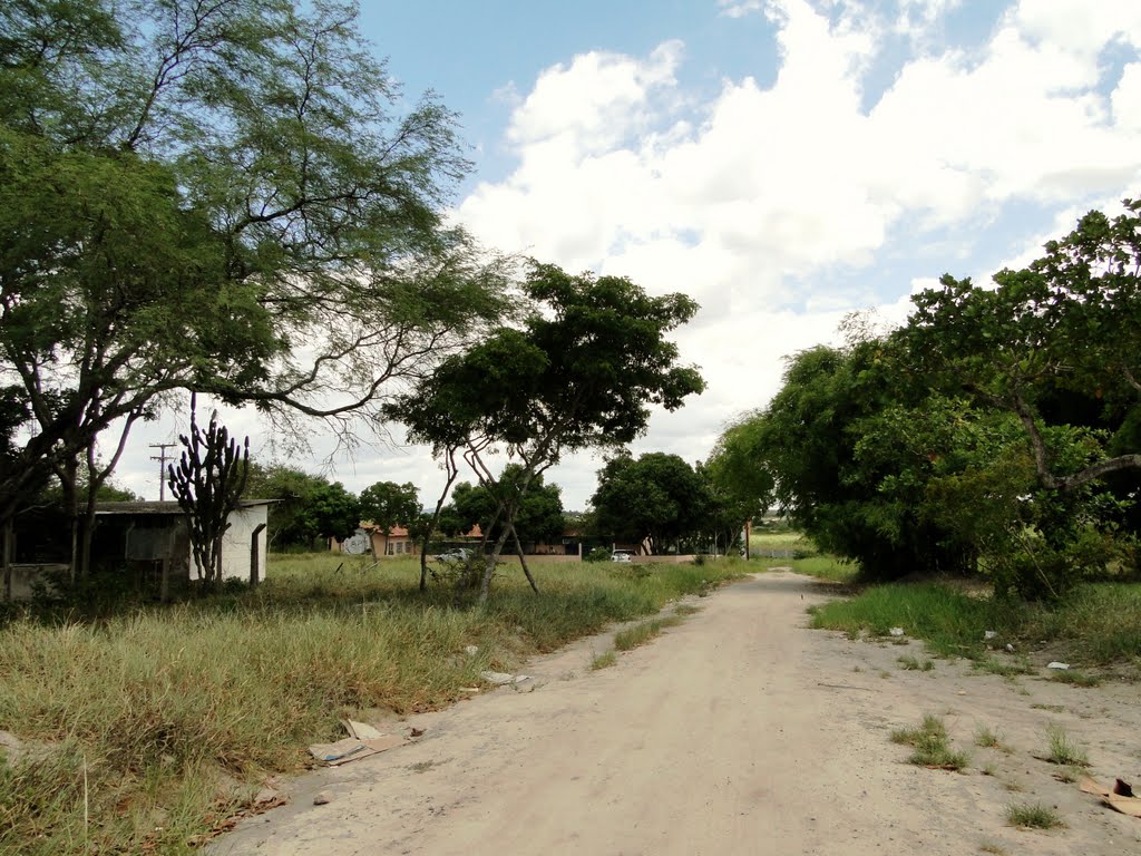 Campus da Universidade Estadual de Feira de Santana, Bahia, Brasil by Caio Graco Machado