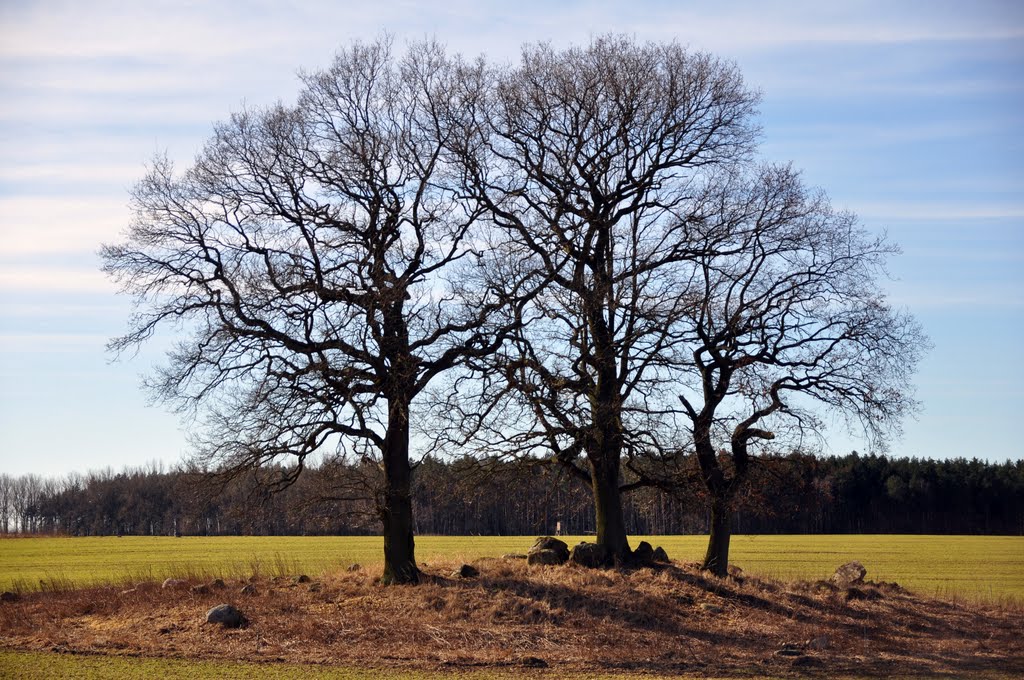 Großsteingräber bei Pöglitz by vulpecula66