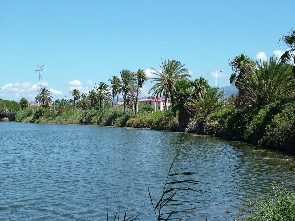 Sicilia - Messina - Palme sul lago di Ganzirri by CARFULCO59