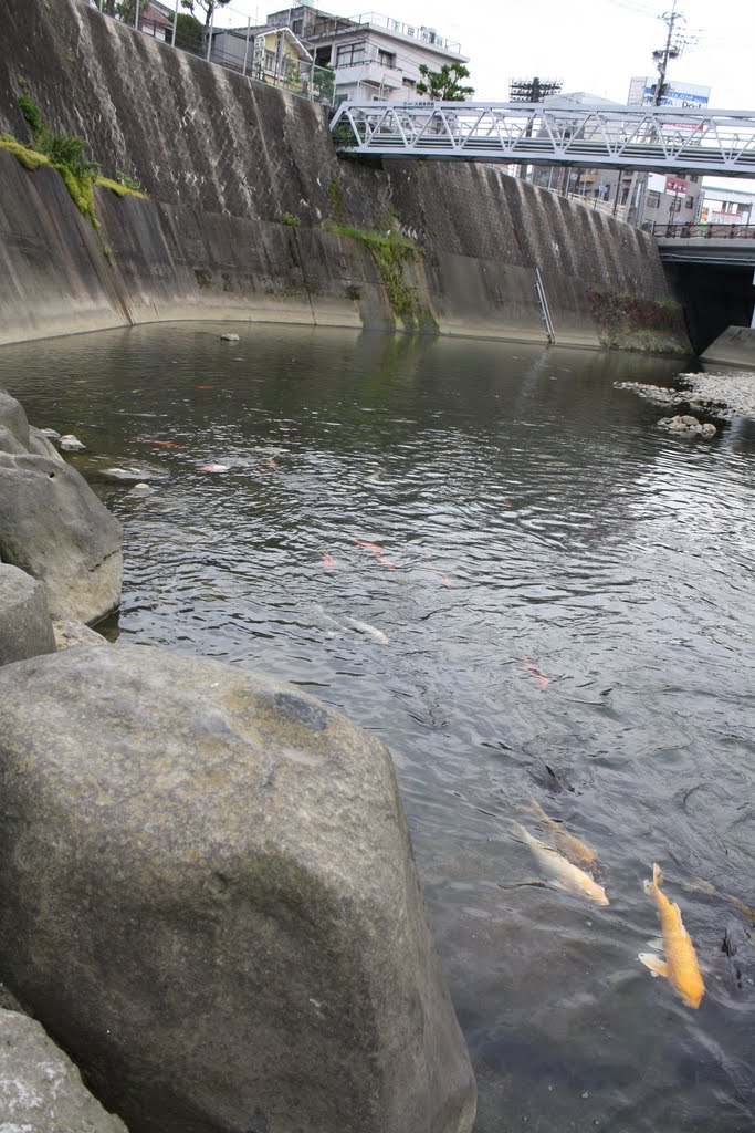 Urakami River, Nagasaki by keex