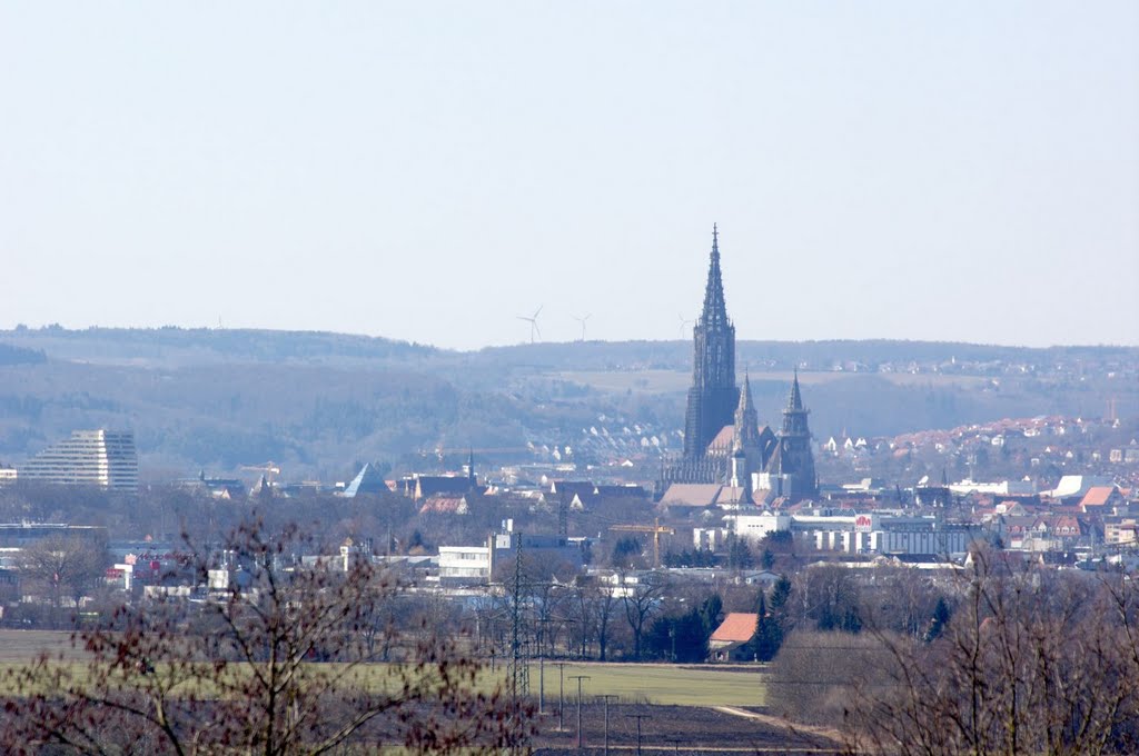 Ulm und Neu-Ulm von Neuhausen by Michael Vogt