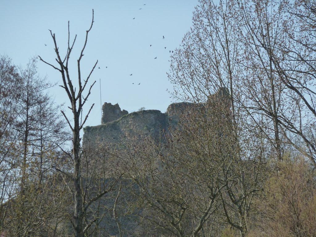 France...Talmont-Saint-Hilaire.Le Château. by Raymond Grelet