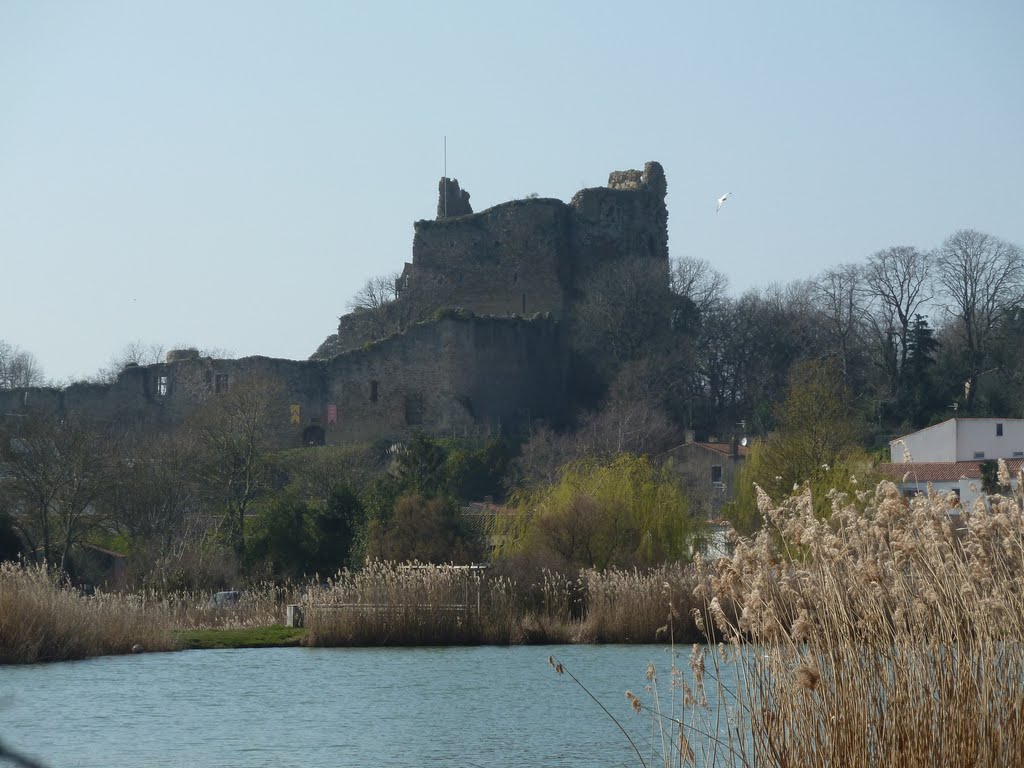 France...Talmont-Saint-Hilaire.Le Château. by Raymond Grelet