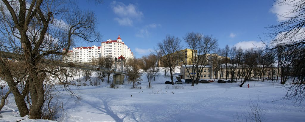 Васильевский мост, спорткомплекс "Труд", зима. (Bridge over the river, winter) by morgenmittag