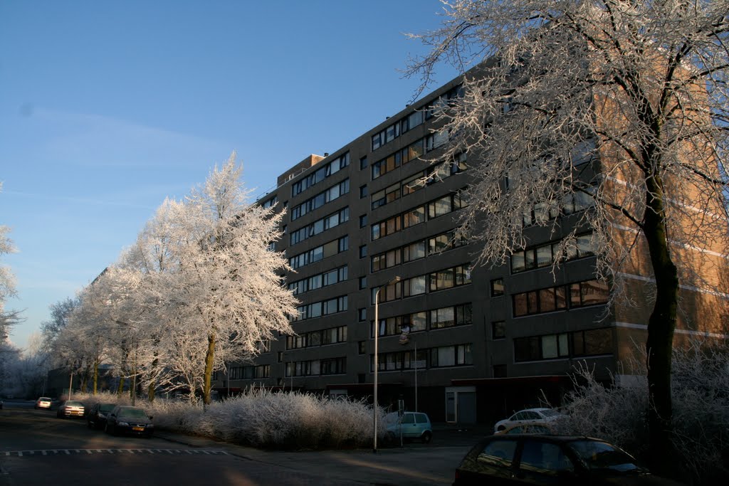 Delft januari 2011 Roland Holstlaan winterview by Aad (A.F.) Huf