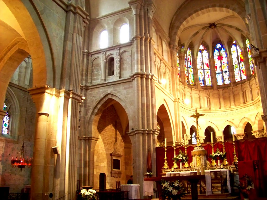 BEAUNE - COLLÉGIALE NOTRE-DAME by mexicori