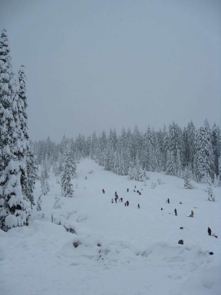 Sledding Hill on Hwy 89 & Ski Park Hwy by jclc