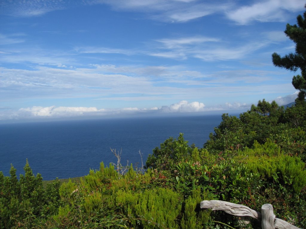 Natural Park of Prainha, Pico island by Eduardo Manchón