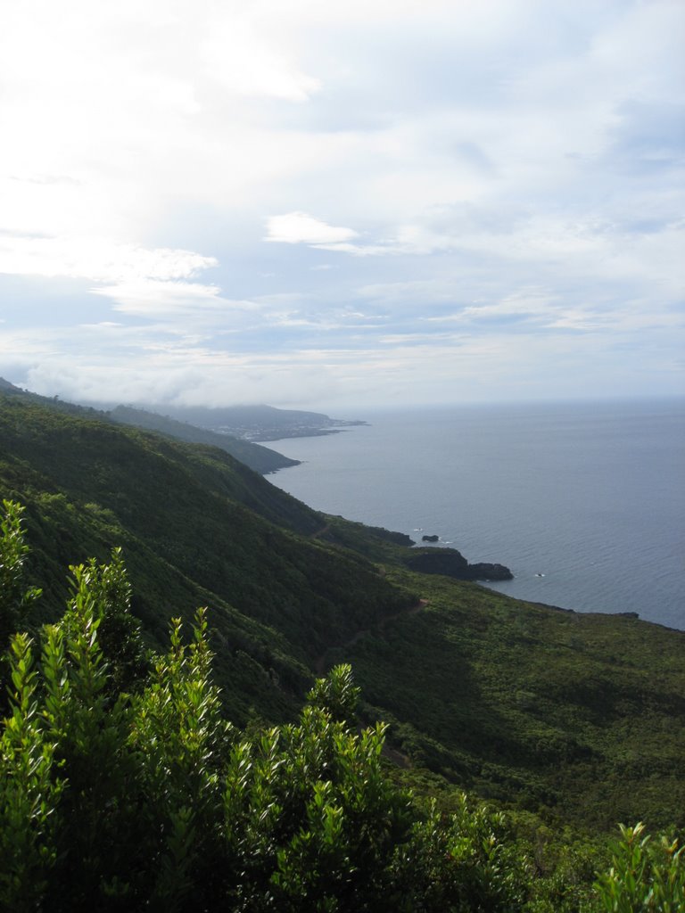 Natural Park of Prainha, Pico island by Eduardo Manchón