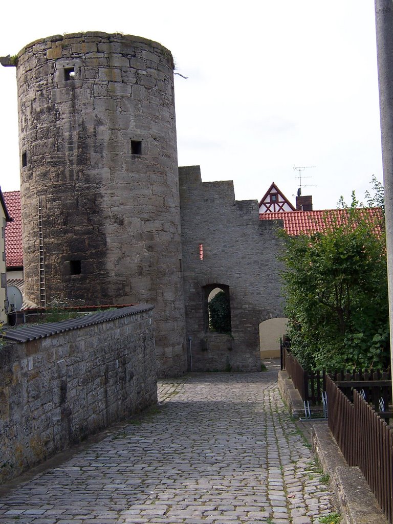 Kees-Turm, Eibelstadt (Germany) by Giancarlo Trupia