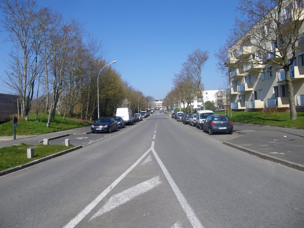 La rue de hongrie a rennes by chisloup