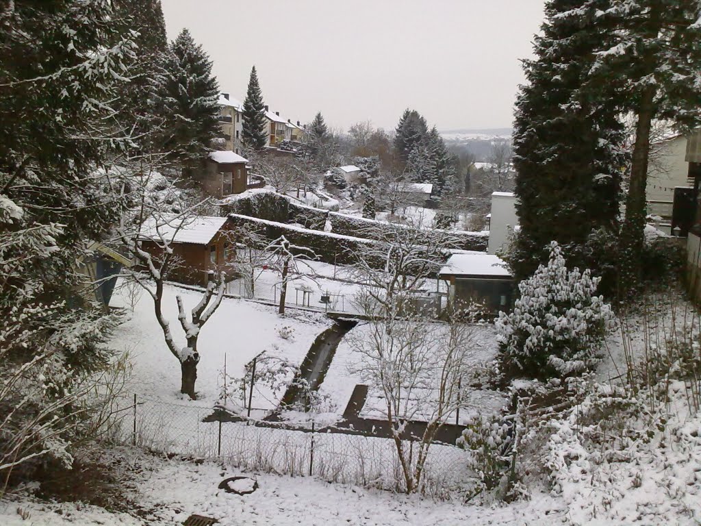 Der Oselbach am 21.02.11 by Wilhelm Tell ZW