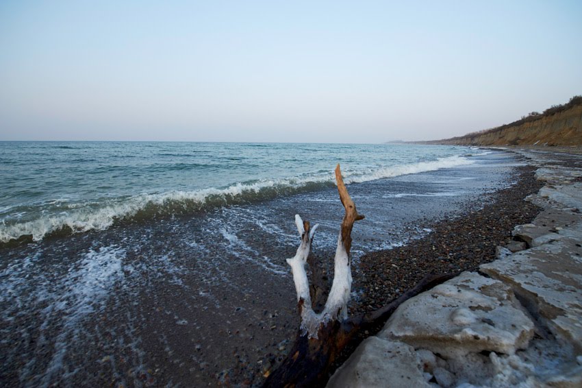 Bough on the beach by christian  Hecker