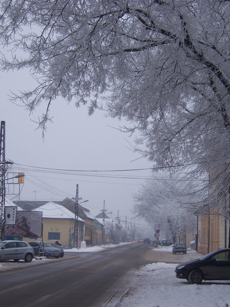 Winter in 5th quart by Ágyas Andor