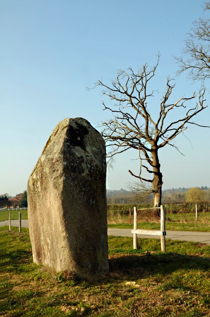 Menhir du Repère, dit pierre fixe, entre Confolens et Lesterps, Charente Limousine by jl capdeville