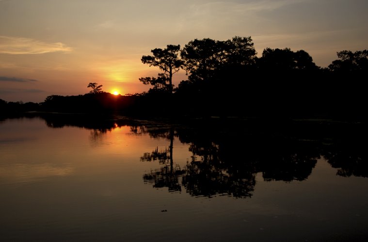 Atchafalaya Basin by EtaNu261