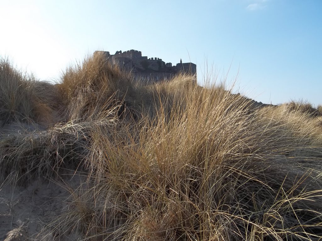 Bamburgh Castle through Sand Dunes by Joe Percy