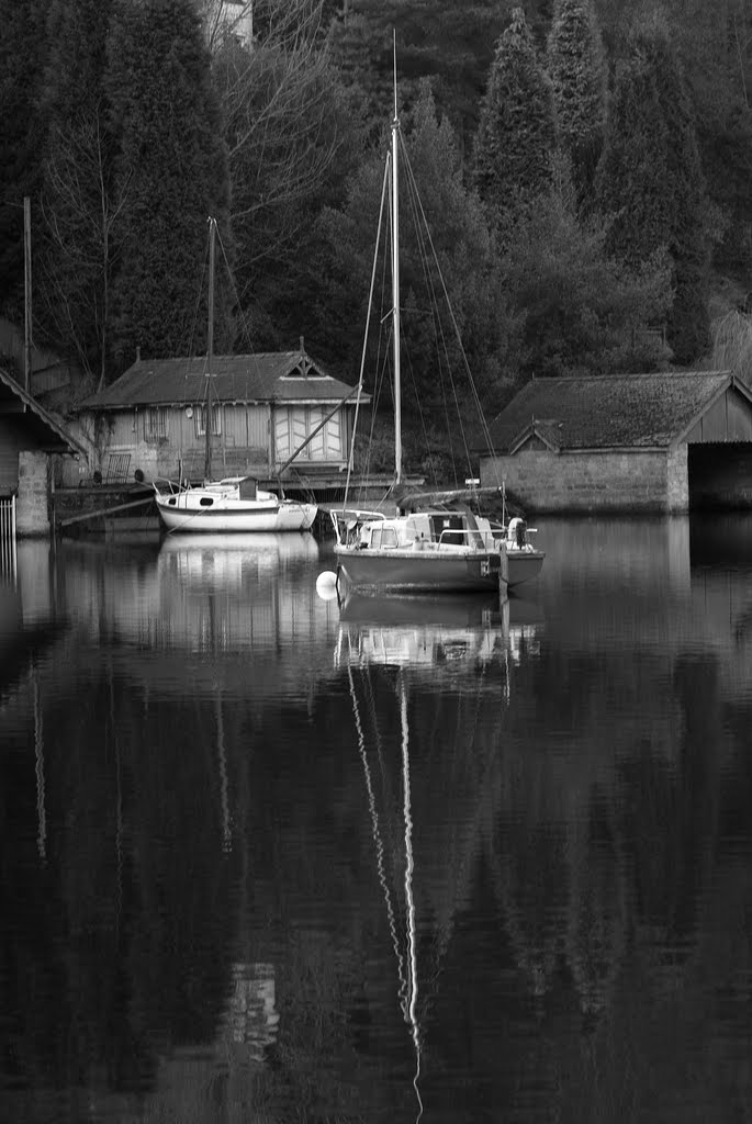 Rudyard Reserviour by Nick Gregory