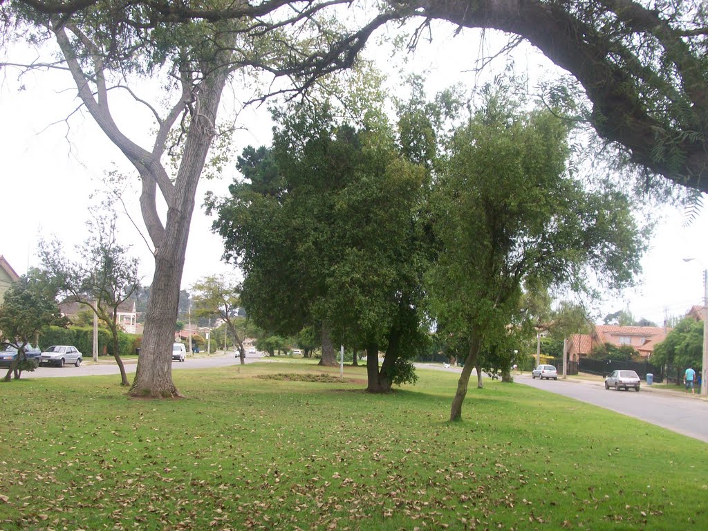 Jardín Avda. Magallanes. Concón V Región by Ignacio Paredes