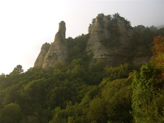 El Cavall Bernat de la Vall (foto d'Imma Pla) by Joaquim Calvet