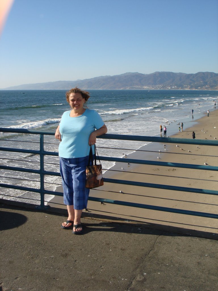 Santa Monica Pier by laura f