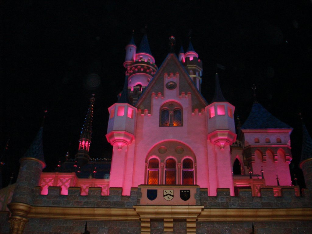 Disneyland by laura f