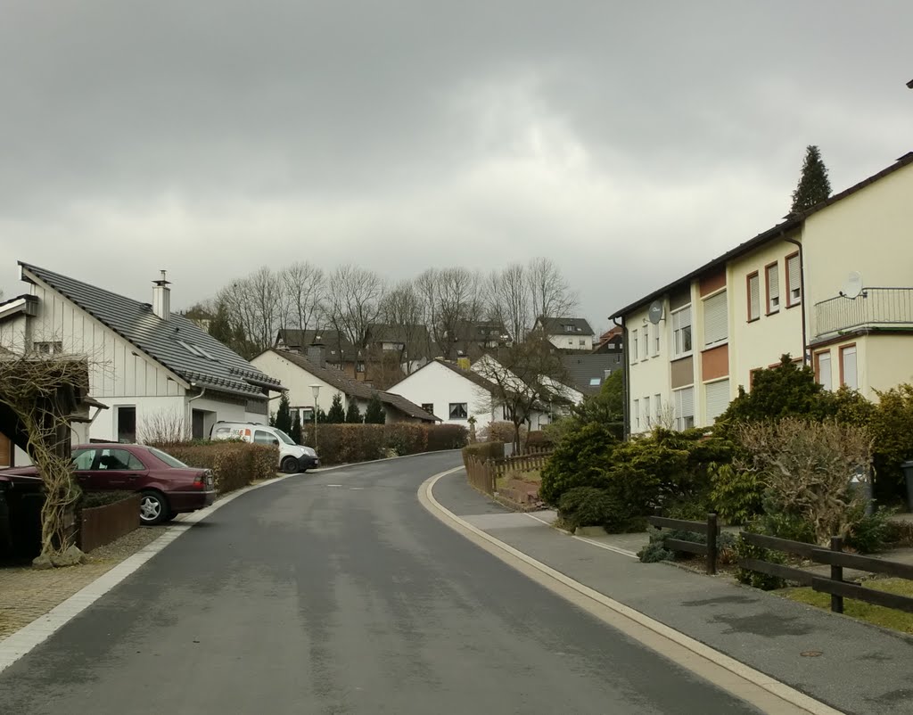 Lüdenscheid, Birkenweg, 2011-03-10 by Ballaberg