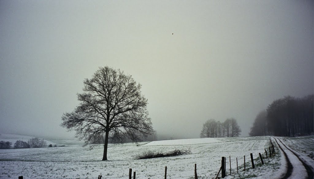 Aprilimpression Rhön - 2 by StuckenPeter