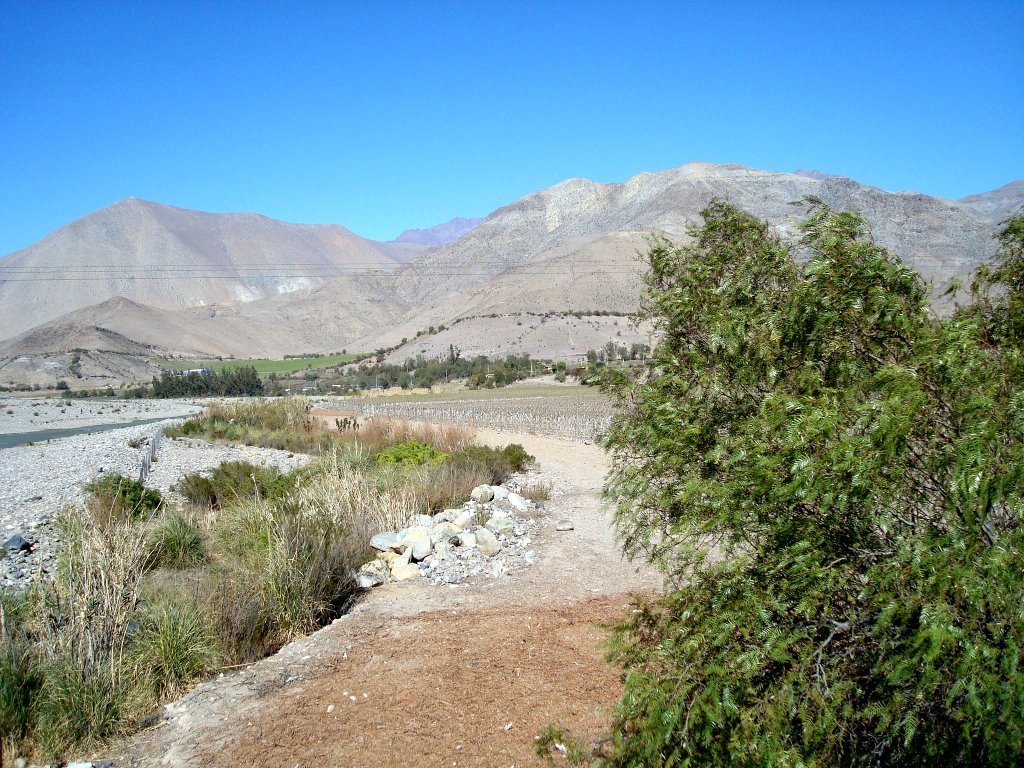 Valle del Elqui, La Serena, Chile by Patricia Santini