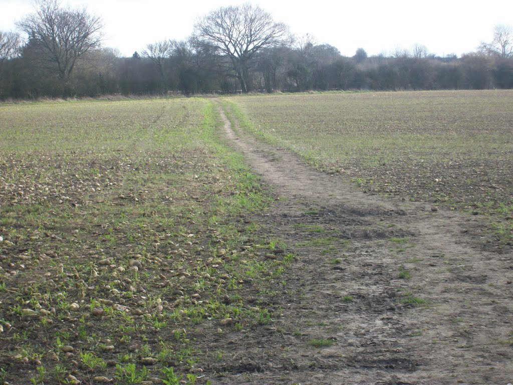 The North Warnborough ploughy field by Robert'sGoogleEarthPictures