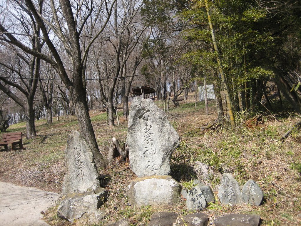 Kōshin-zuka 鷲養神 ●峯神社 by addh Save Panoramio