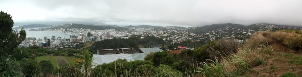 Panorama over Wellington City from Tinakori Hill by BJScelly