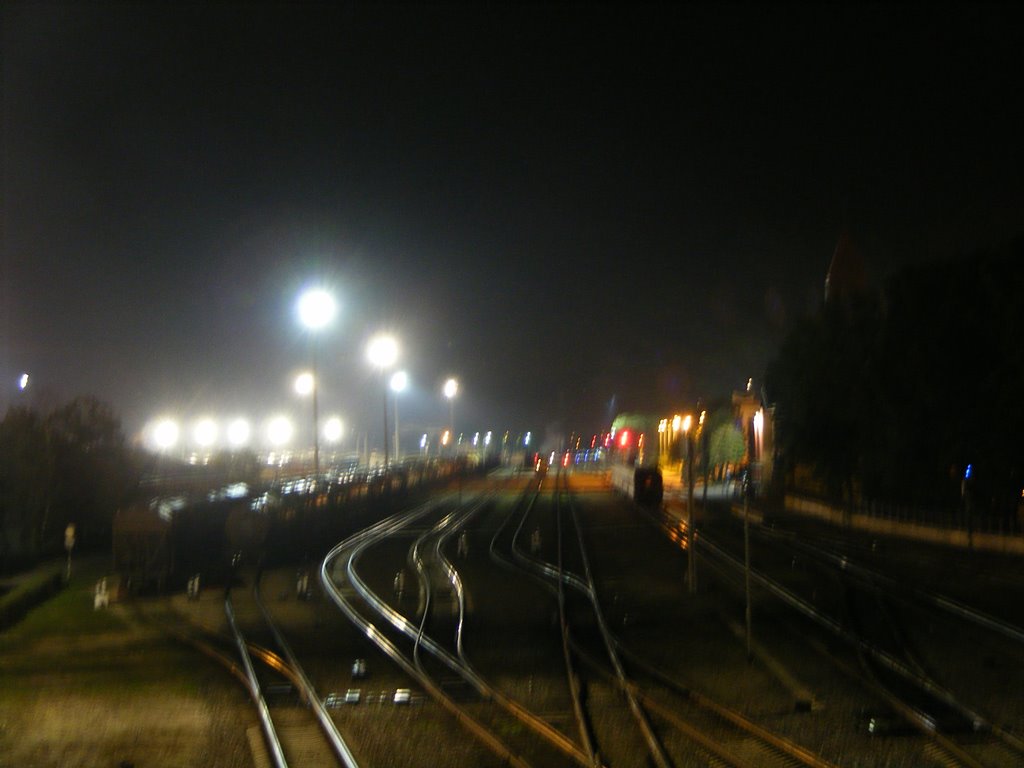 Railways (from the bridge) by Diduc Alexandru