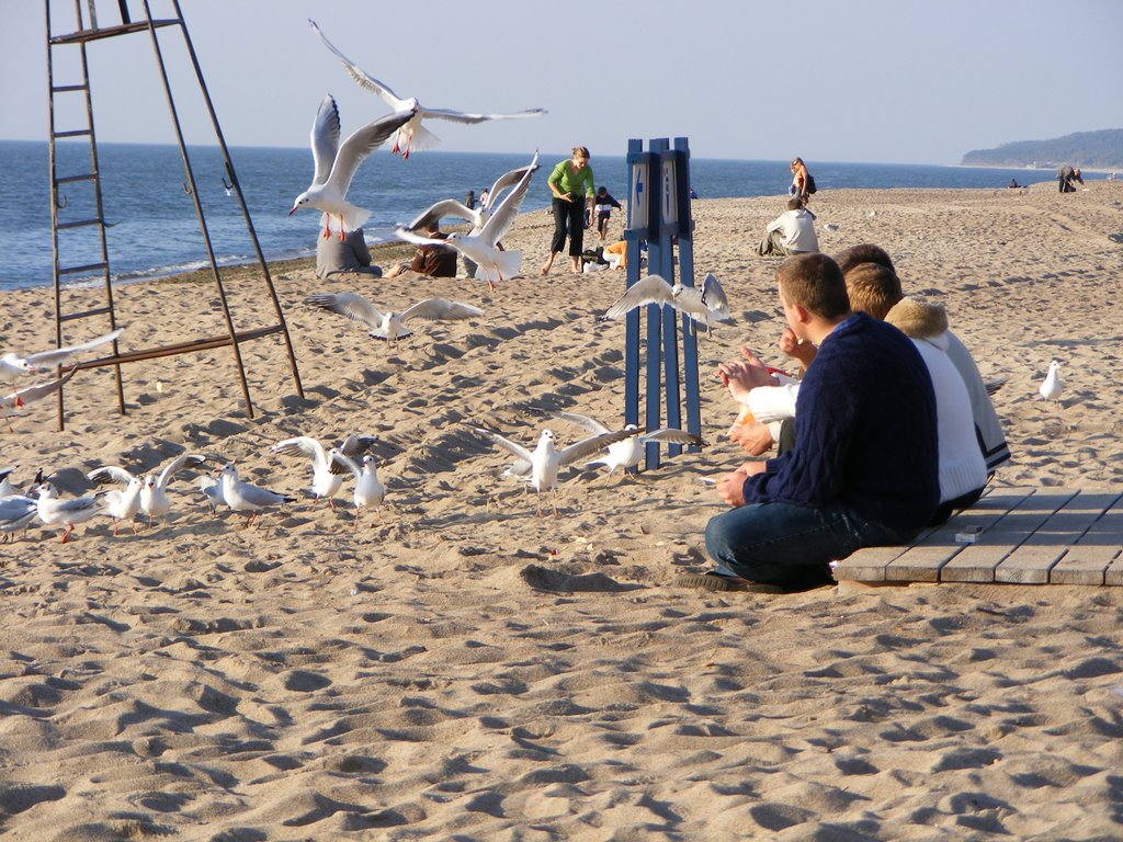 Melnrage beach by Diduc Alexandru