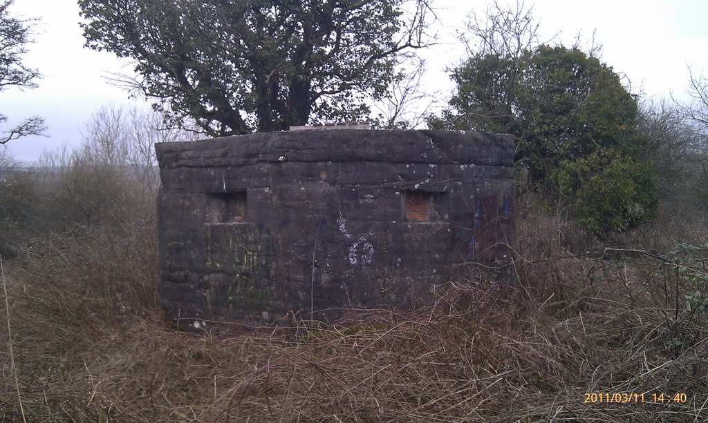 Pillbox near highfields 3 by craighutin