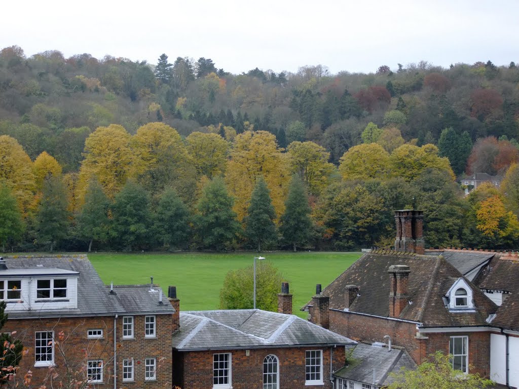 Autumn colours, a view from my balcony by timn.harrison