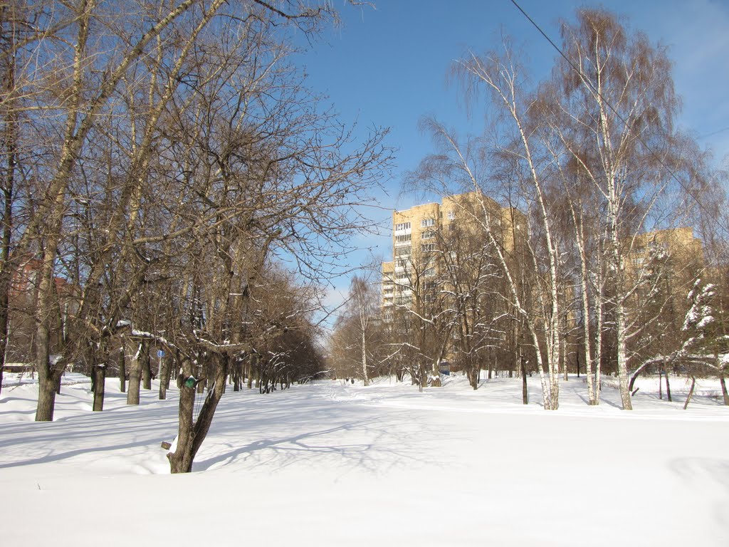 В парке Сокольники by Dr. Peace