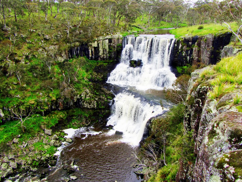 Ebor Falls by Greg Wynd