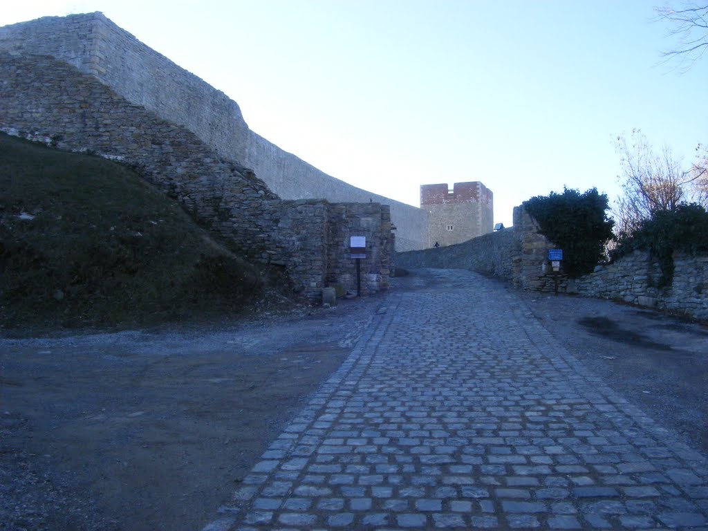 Šestine - Medvedgrad - PD Risnjak by radovan cvijić