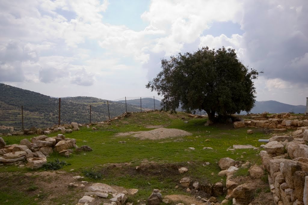 Greenery around Mar Elias by rockman