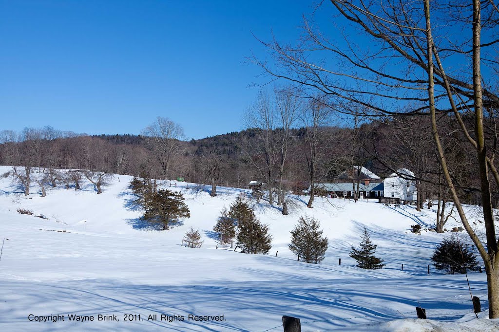 Back roads of the Berkshires by waynebrink