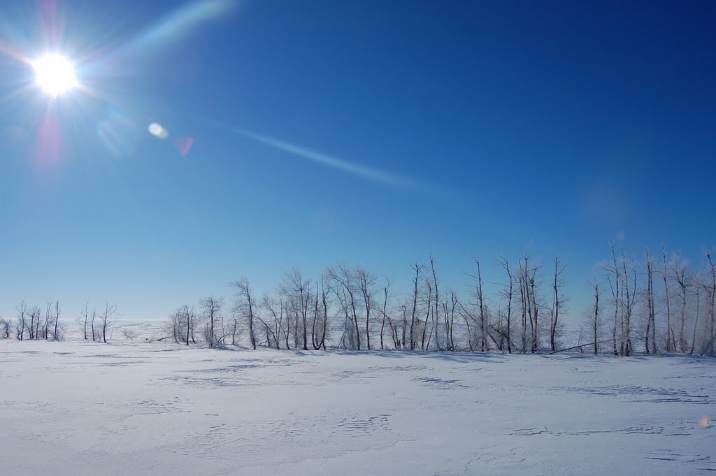 Мороз и солнце # Frost and sun. month of March by Wlad63